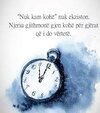 IMG_3497.jpeg