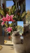 IMG_5744.jpeg