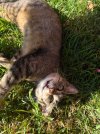 IMG_5499.jpeg