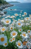 IMG_6990.jpeg