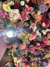 IMG_0494.jpeg