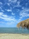 IMG_3985.jpeg
