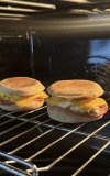 IMG_5408.jpeg