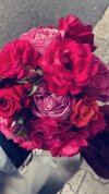 IMG_7011.jpeg