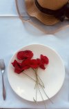 IMG_4189.jpeg