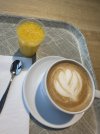 IMG_6537.jpeg
