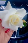 IMG_6228.jpeg