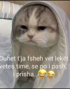 IMG_7060.jpeg