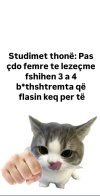 IMG_7059.jpeg