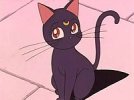 Luna_Sailor_Moon.jpg