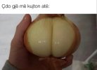 1000013128.jpg