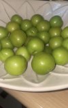 IMG_7074.jpeg