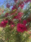 IMG_4607.jpeg