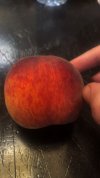 IMG_7084.jpeg