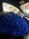 IMG_5594.jpeg