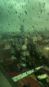 IMG_7095.jpeg