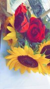 IMG_3556.jpeg