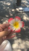 IMG_5088.jpeg