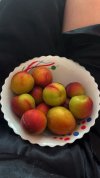 IMG_7174.jpeg