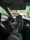 IMG_7422.jpeg