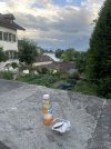 IMG_6981.jpeg