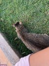 IMG_8362.jpeg