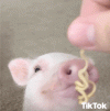 ZFuPxYpT4qYOWnDAno.gif