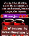 images (4).jpeg