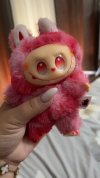 IMG_1310.jpeg